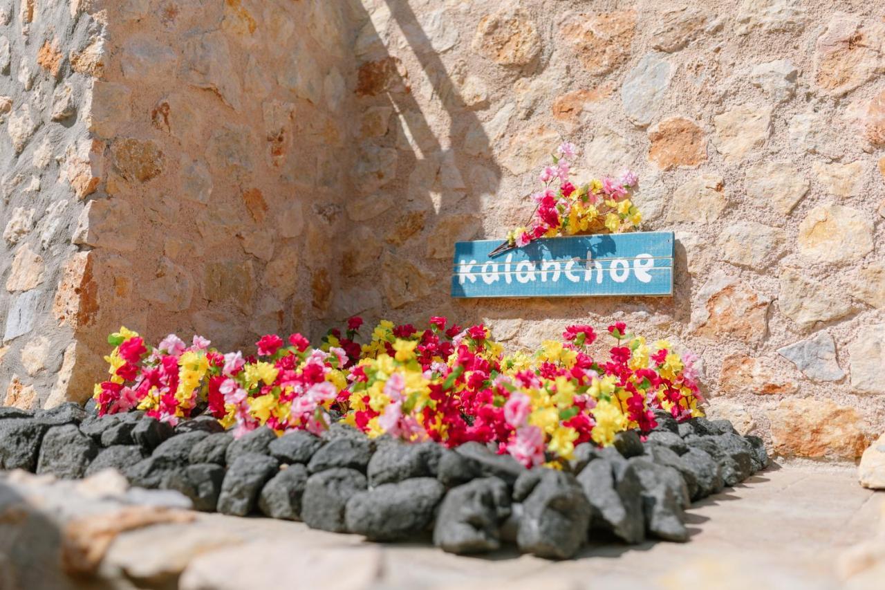 Villa Antheia Karterádos Eksteriør bilde